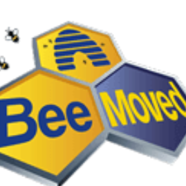 Bee_Moved8