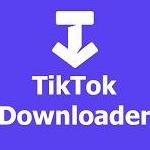 ssstiktokdown